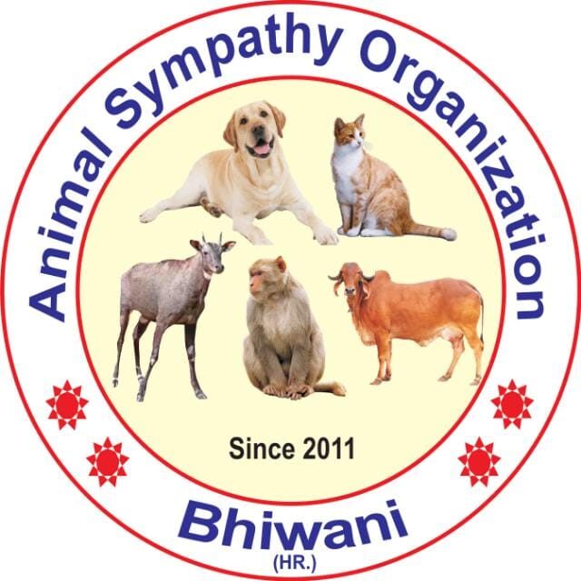 Animalysympathy